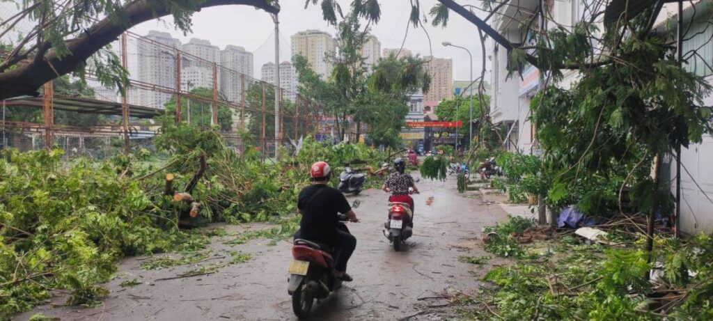 台風直撃_1