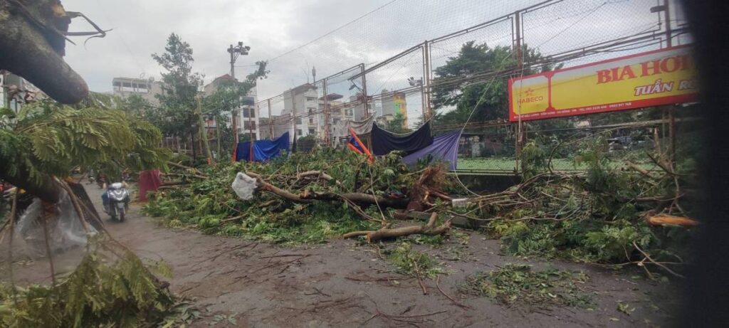 台風直撃_2