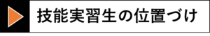 技能実習生の位置づけ