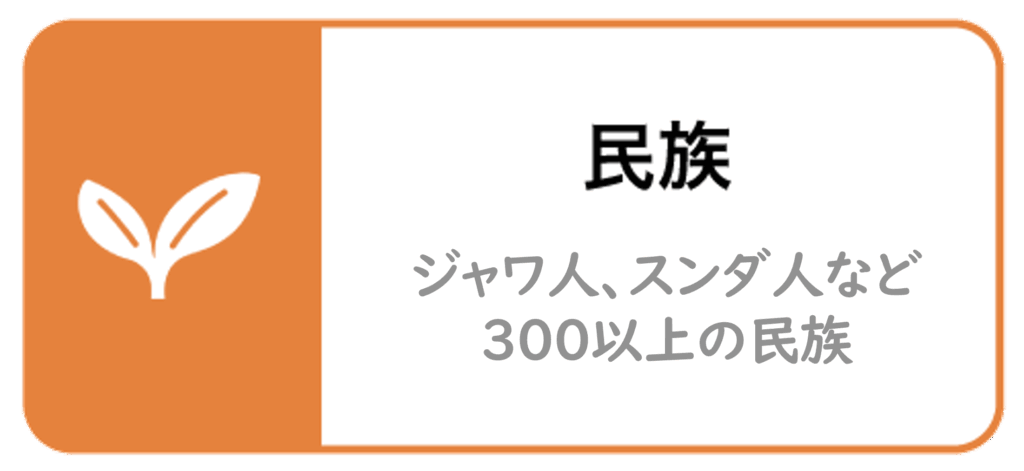 民族_インドネシア